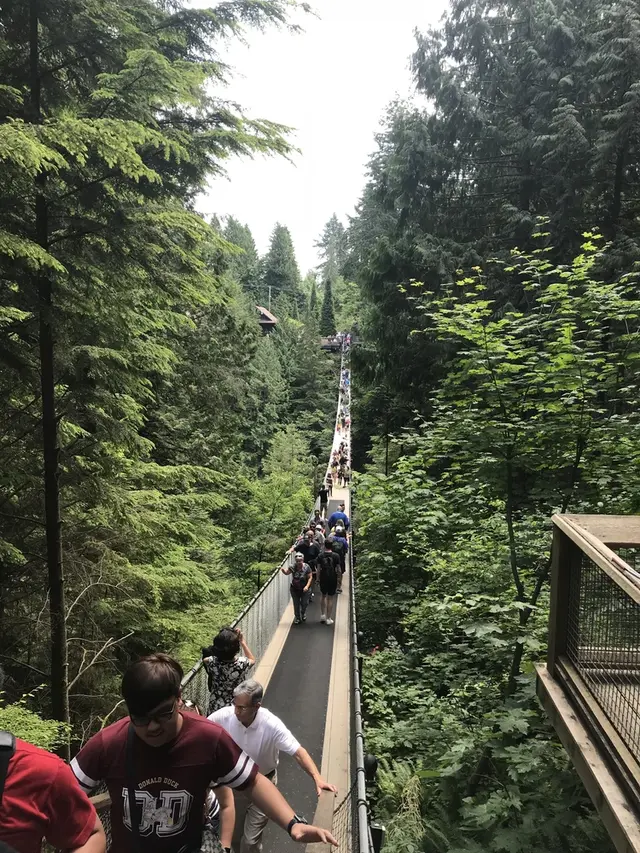 カピラノ吊り橋