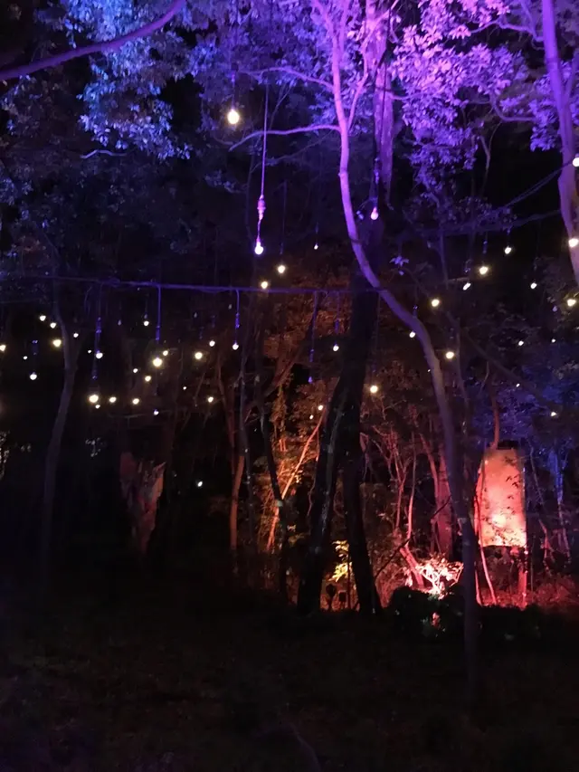 ニジゲンノモリ ナイトウォーク 火の鳥