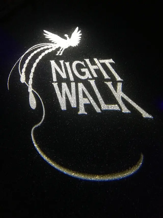 ニジゲンノモリ ナイトウォーク 火の鳥