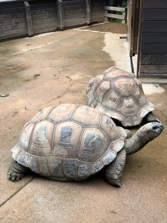 アクア・トトぎふ