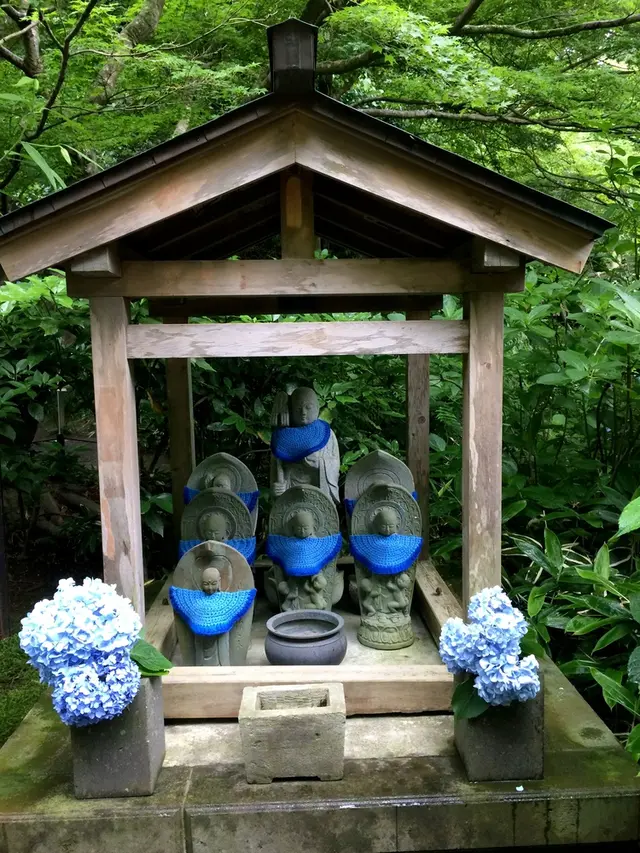 明月院（あじさい寺）