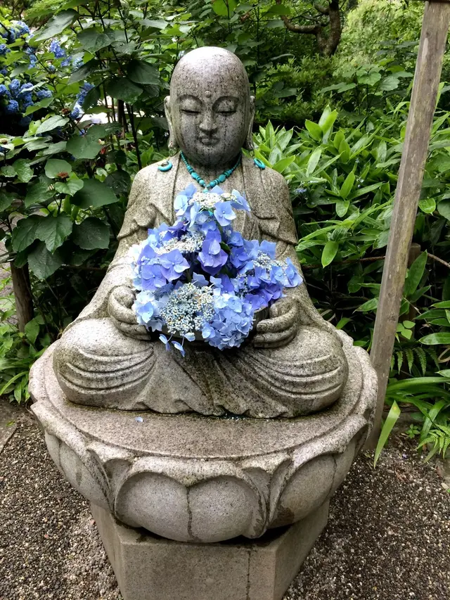 明月院（あじさい寺）