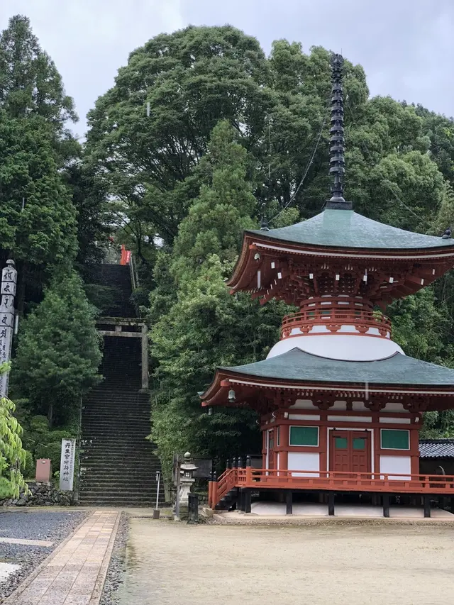 慈尊院