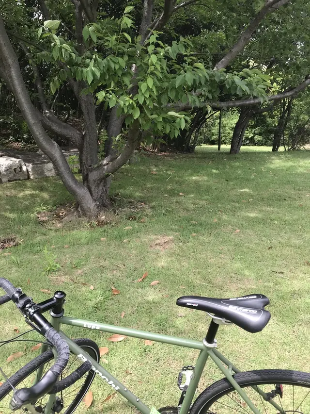 都立潮風公園