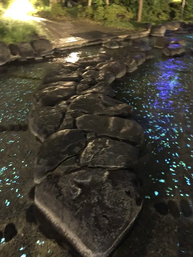 大江戸温泉物語 浦安万華郷