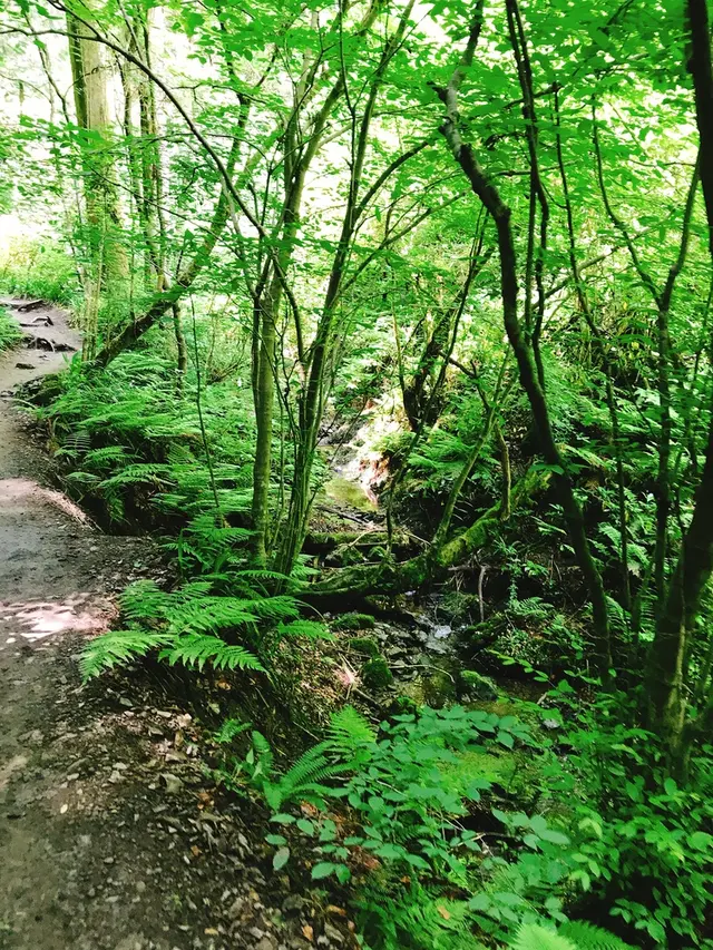 高尾山