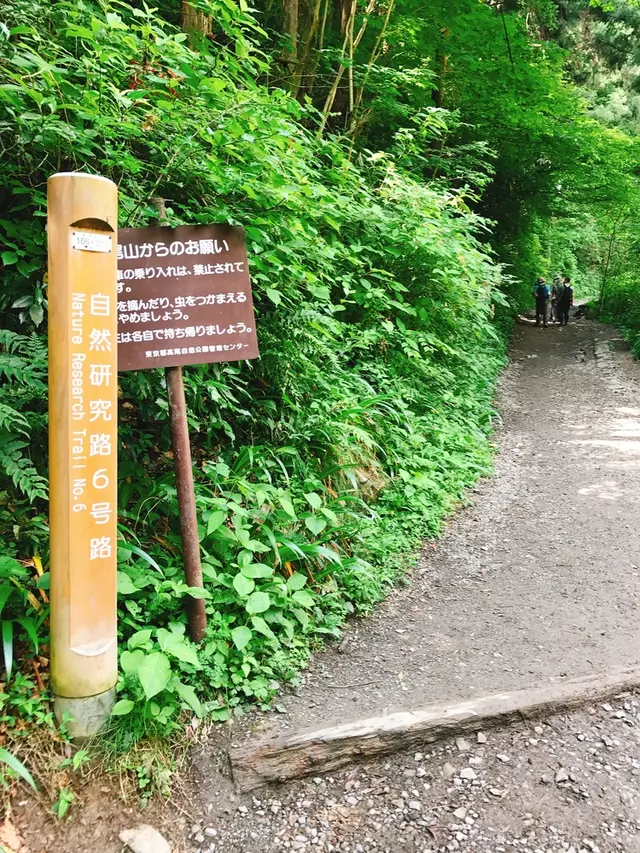 高尾山