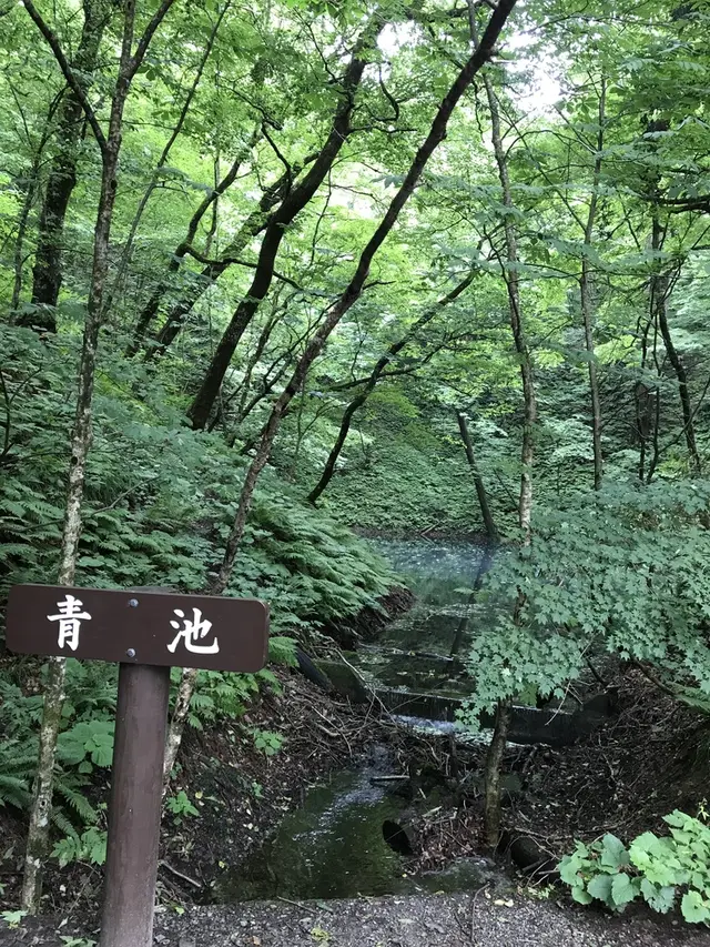 黄金崎不老ふ死温泉