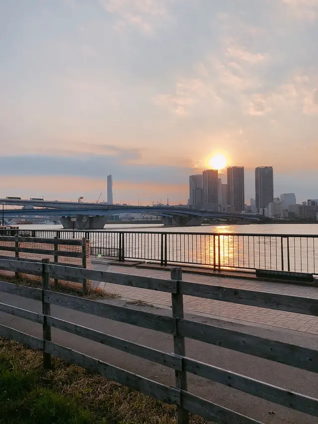 ワイルドマジック ザ レインボー ファーム（WILDMAGIC The Rainbow Farm）