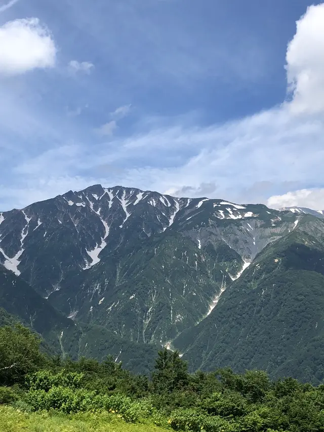 白馬五竜高山植物園
