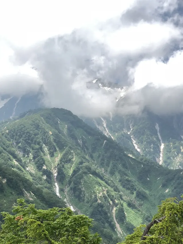 白馬五竜高山植物園