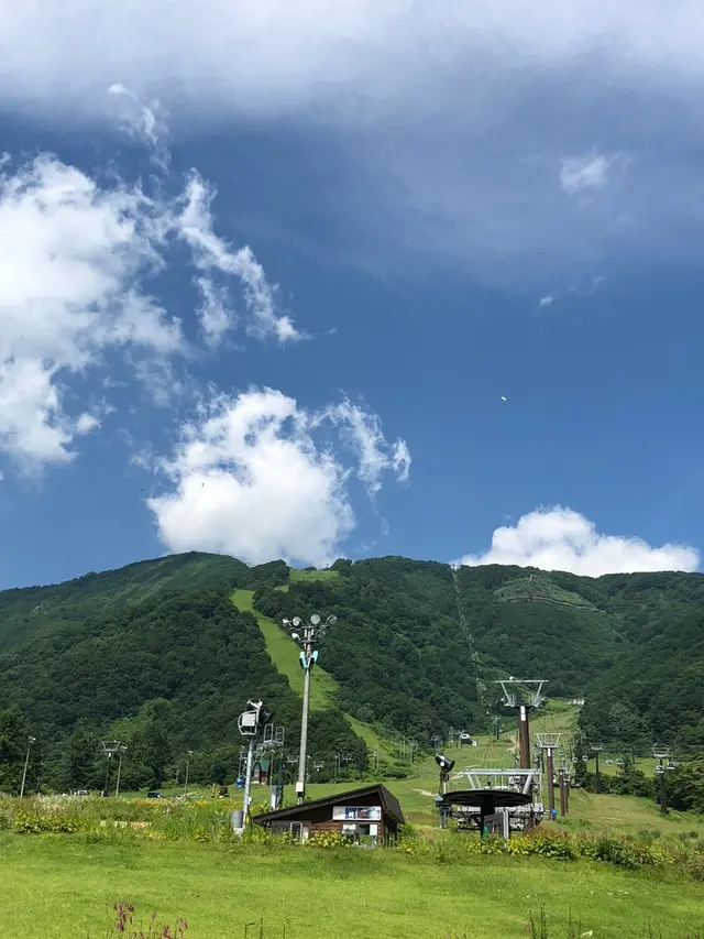 白馬五竜高山植物園