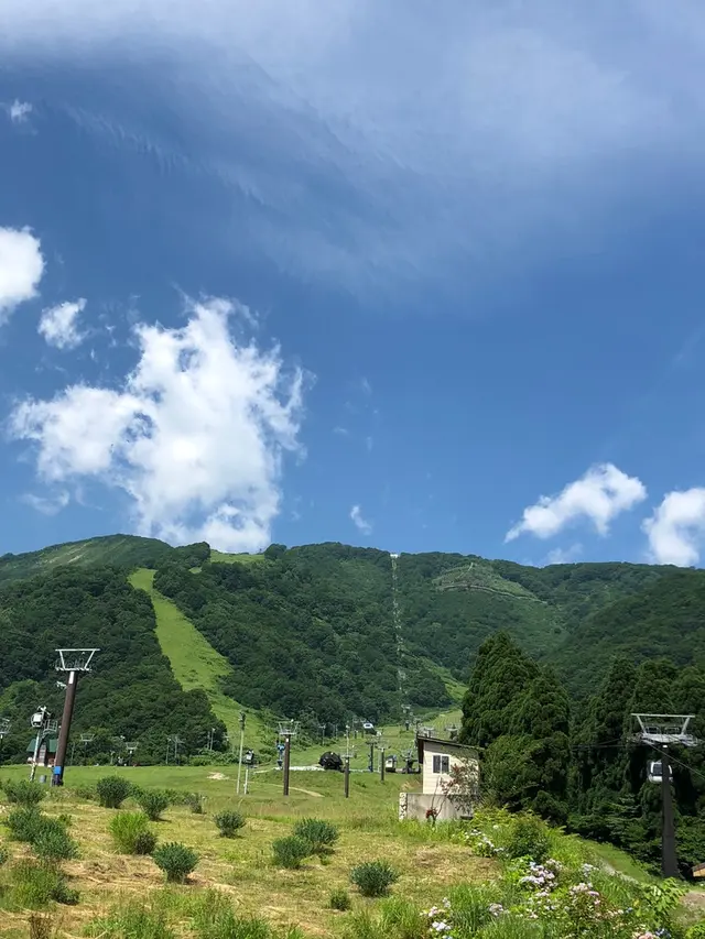 白馬五竜高山植物園