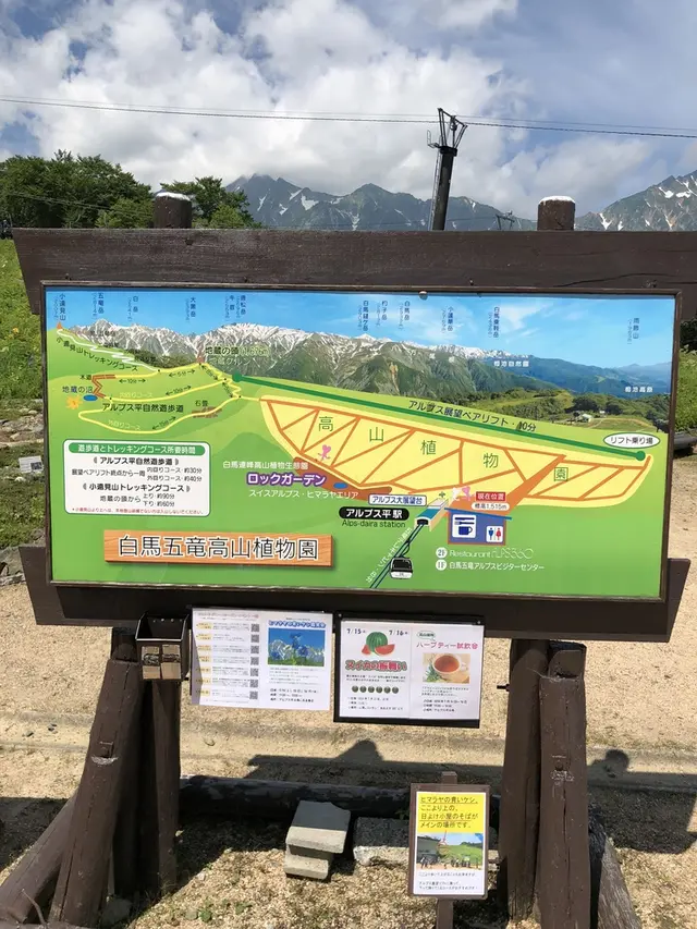白馬五竜高山植物園