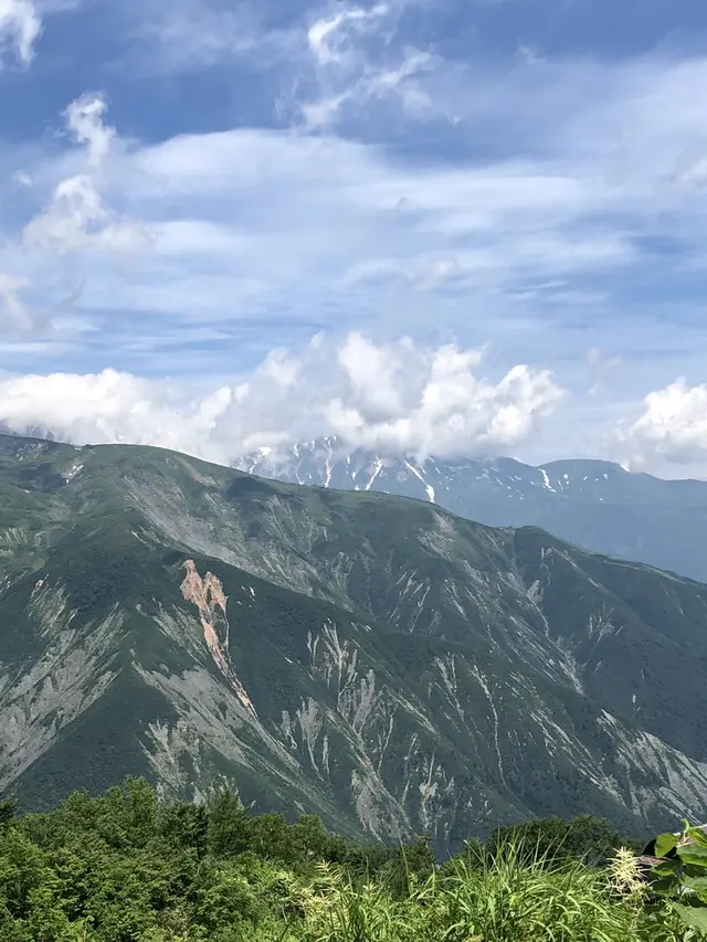 白馬五竜高山植物園