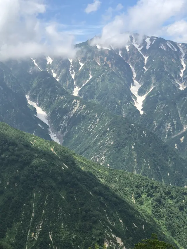 白馬五竜高山植物園