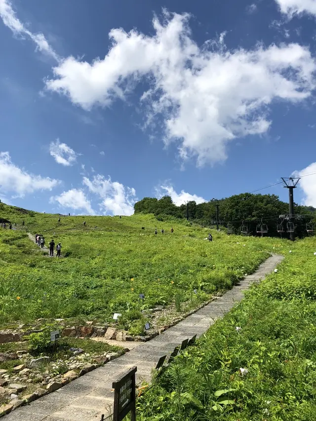 白馬五竜高山植物園