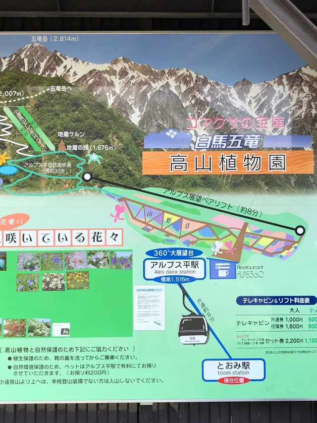白馬五竜高山植物園