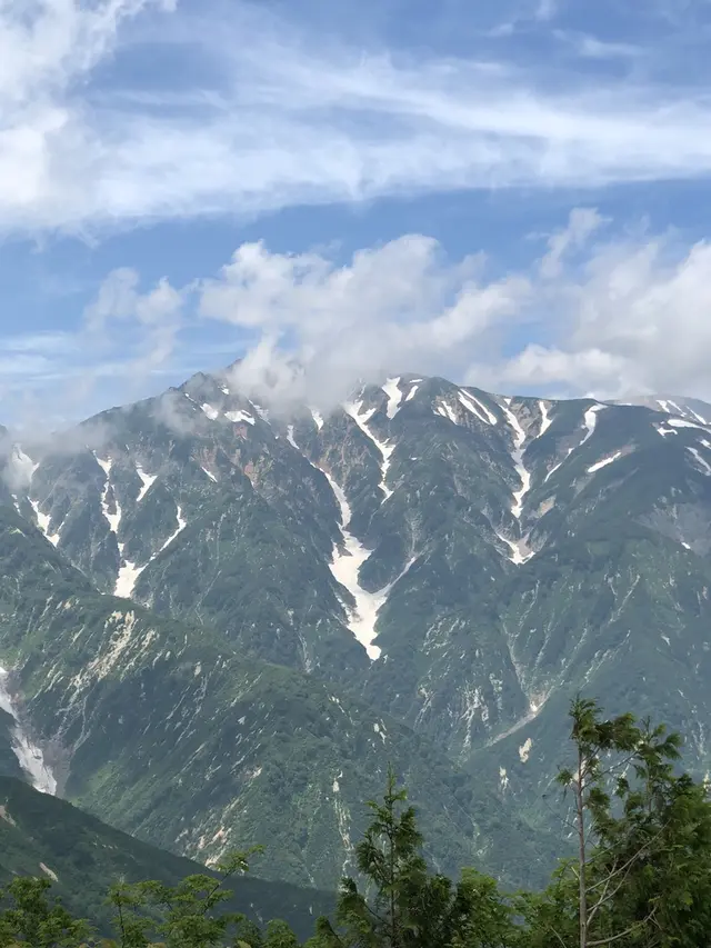 白馬五竜高山植物園