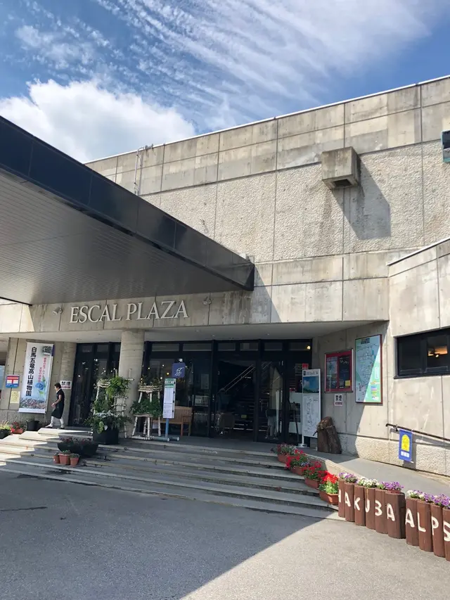 白馬五竜高山植物園