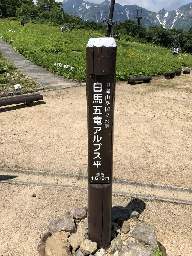 白馬五竜高山植物園