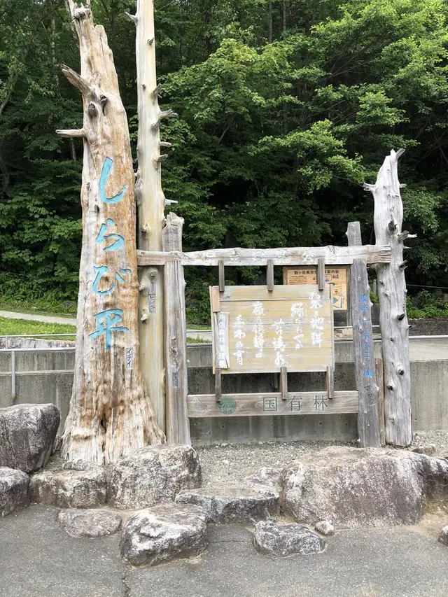 駒ヶ岳ロープウェイ 千畳敷駅