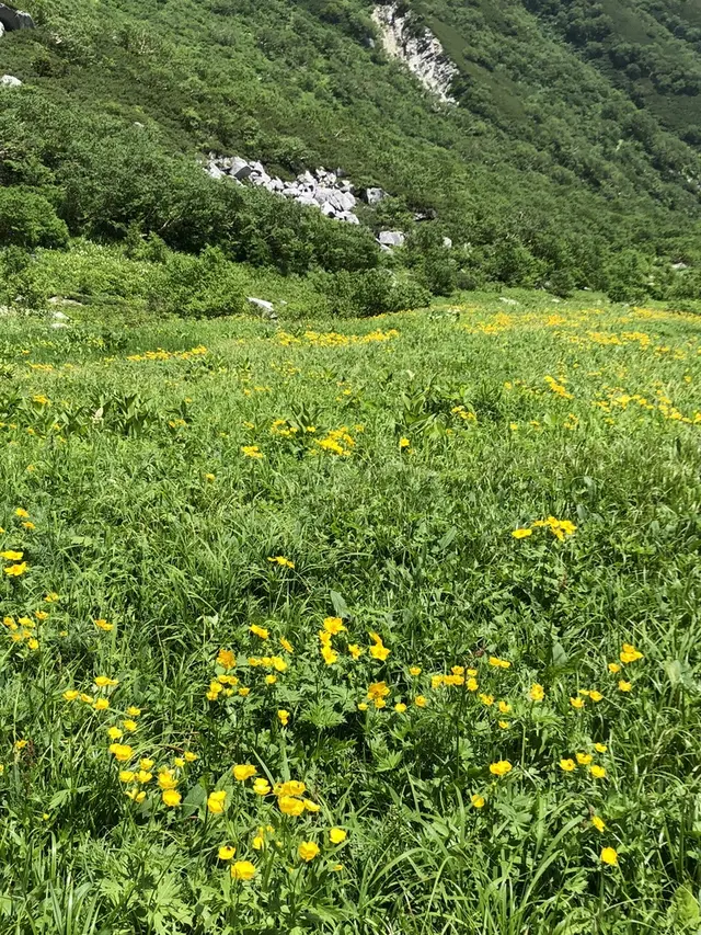 千畳敷カール