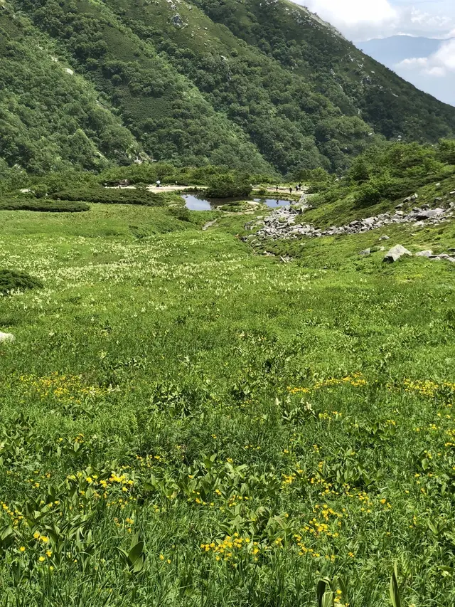 千畳敷カール