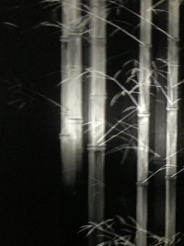 【閉業】森ビルデジタルアートミュージアム：エプソン チームラボボーダレス（MORI Building Digital Art Museum: EPSON teamLab Borderless）