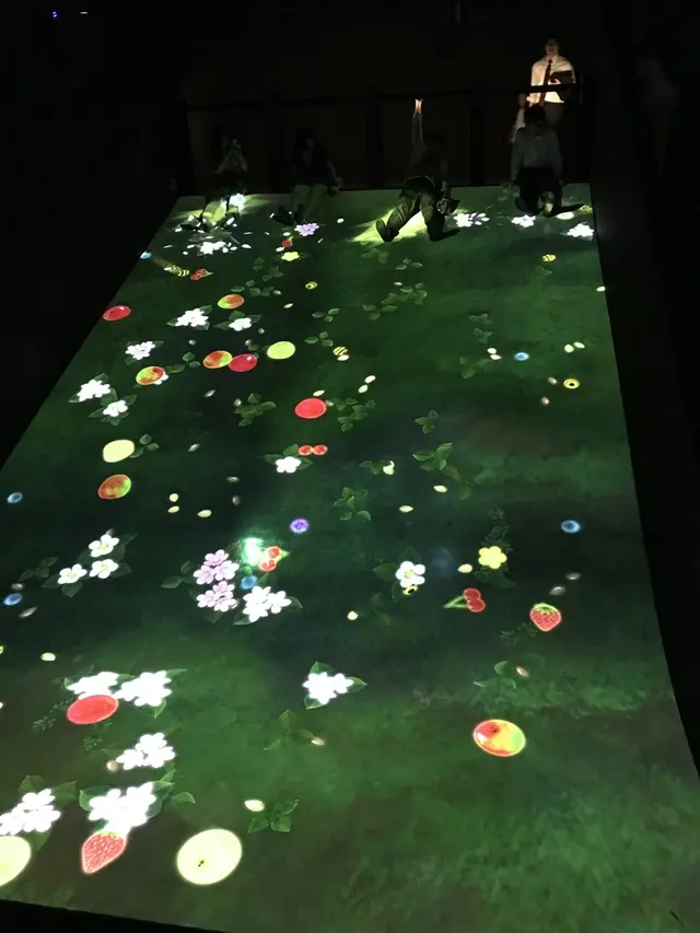 【閉業】森ビルデジタルアートミュージアム：エプソン チームラボボーダレス（MORI Building Digital Art Museum: EPSON teamLab Borderless）