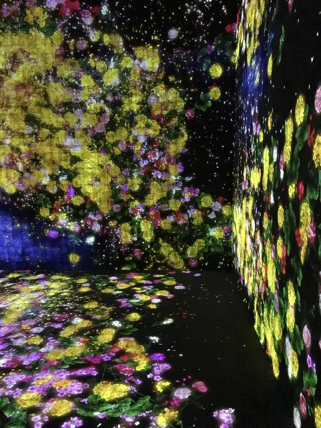 【閉業】森ビルデジタルアートミュージアム：エプソン チームラボボーダレス（MORI Building Digital Art Museum: EPSON teamLab Borderless）