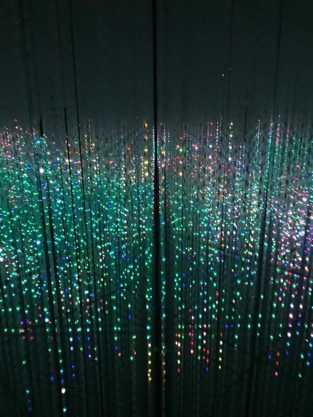 【閉業】森ビルデジタルアートミュージアム：エプソン チームラボボーダレス（MORI Building Digital Art Museum: EPSON teamLab Borderless）