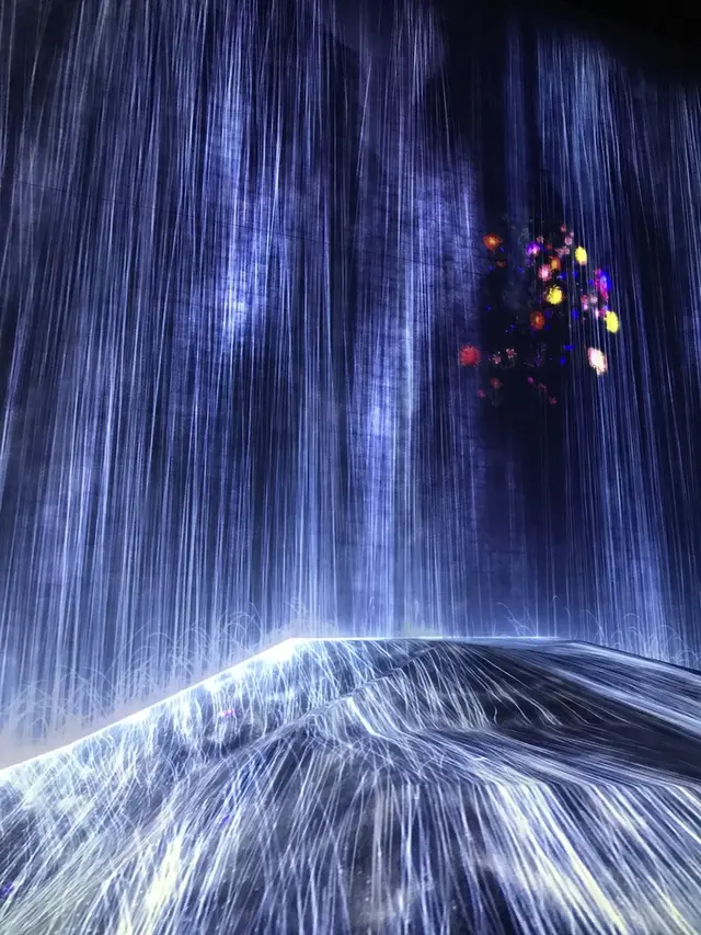 【閉業】森ビルデジタルアートミュージアム：エプソン チームラボボーダレス（MORI Building Digital Art Museum: EPSON teamLab Borderless）