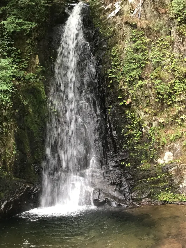 県立自然公園宇津江四十八滝