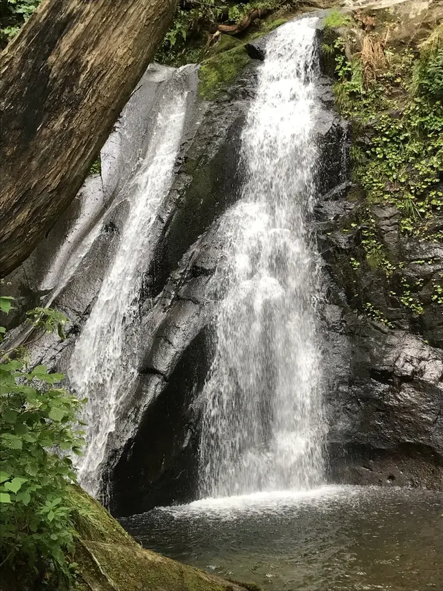 県立自然公園宇津江四十八滝