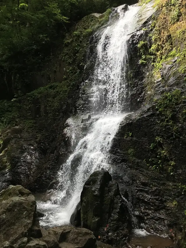 県立自然公園宇津江四十八滝