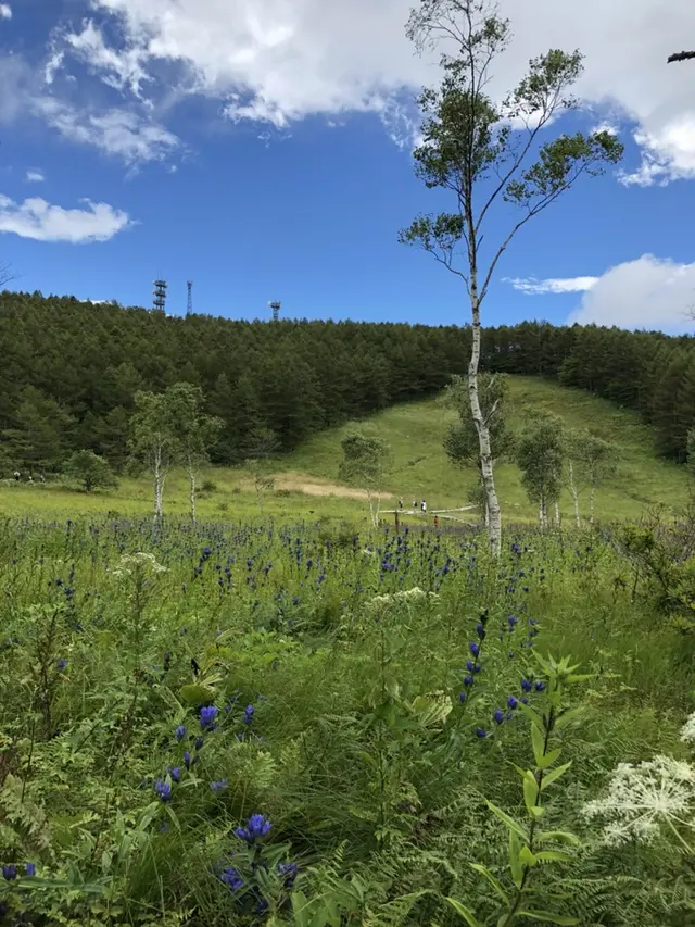 入笠山