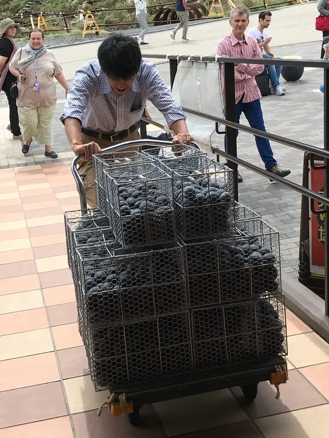 大涌谷くろたまご館