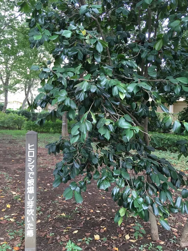 ふなばしアンデルセン公園