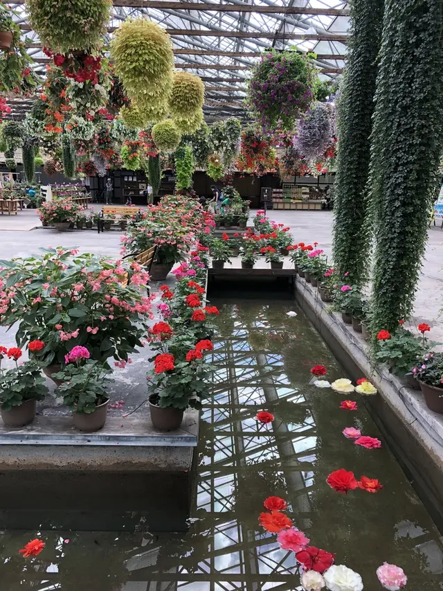 松江フォーゲルパーク