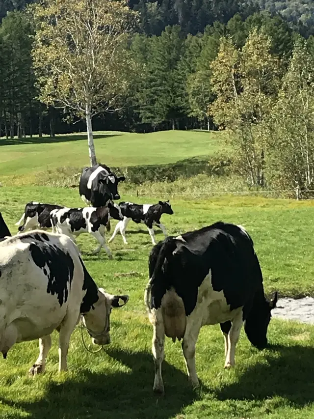 星野リゾート リゾナーレトマム