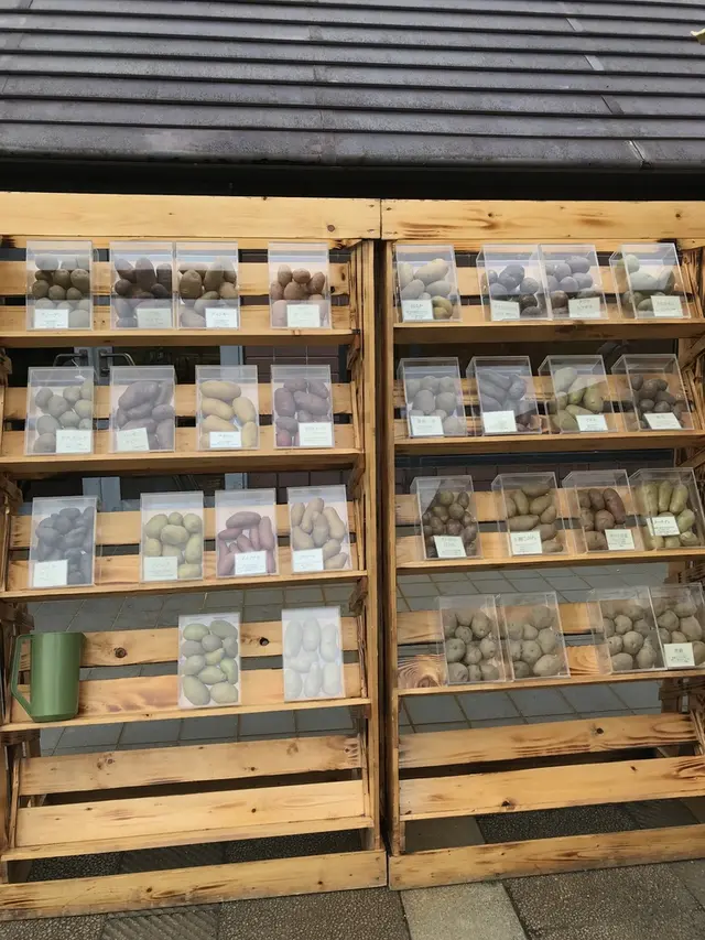 星野リゾート リゾナーレトマム