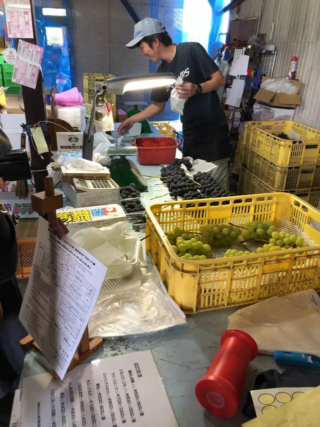 葡萄屋iwaki （ぶどう農園）