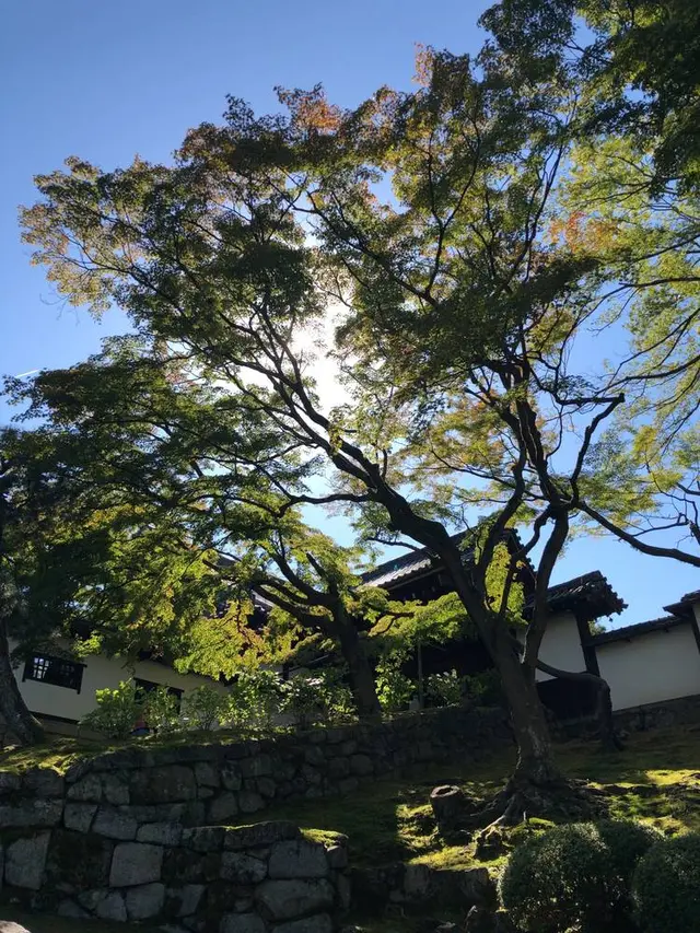 知恩院
