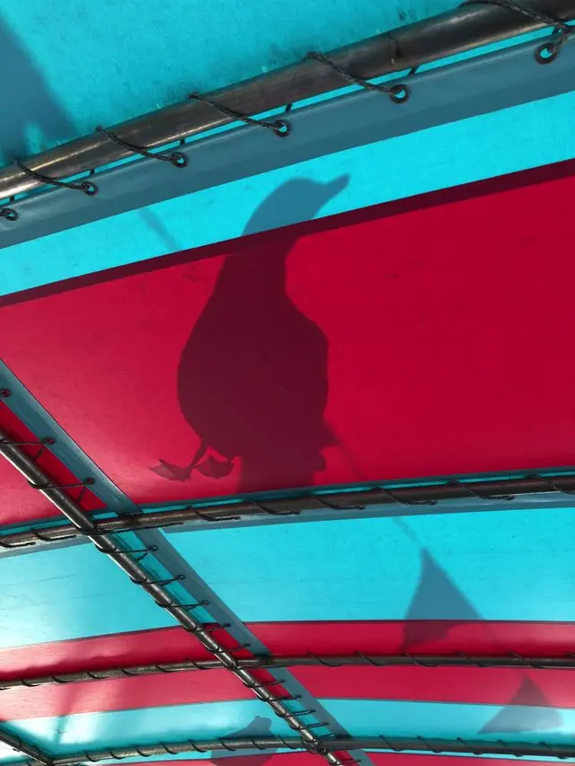 水中展望船ニューしゃこたん号