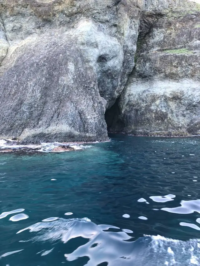 水中展望船ニューしゃこたん号