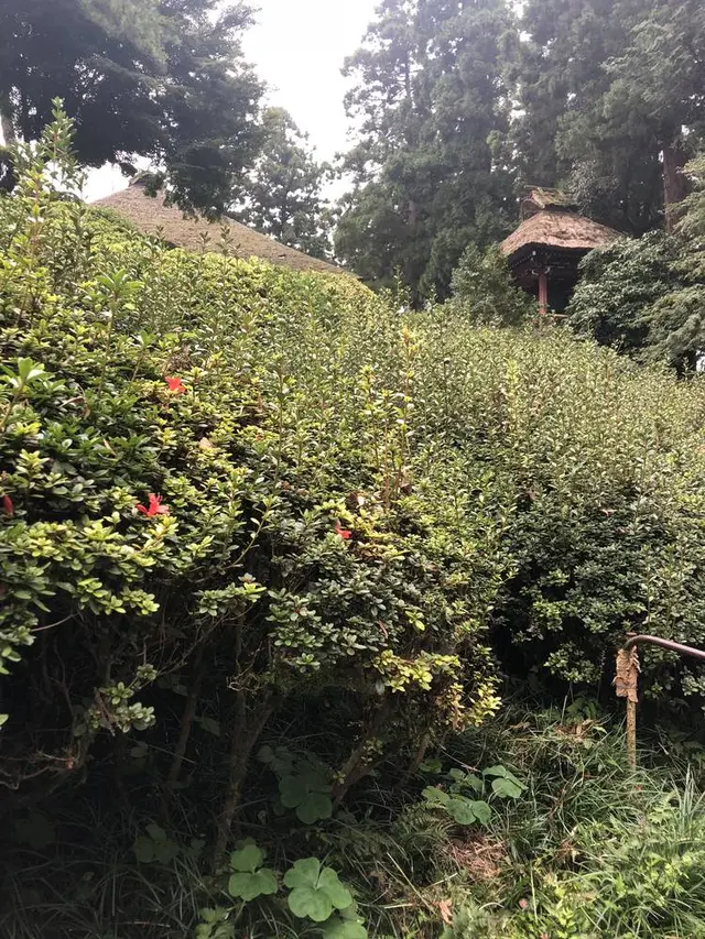 塩船観音寺