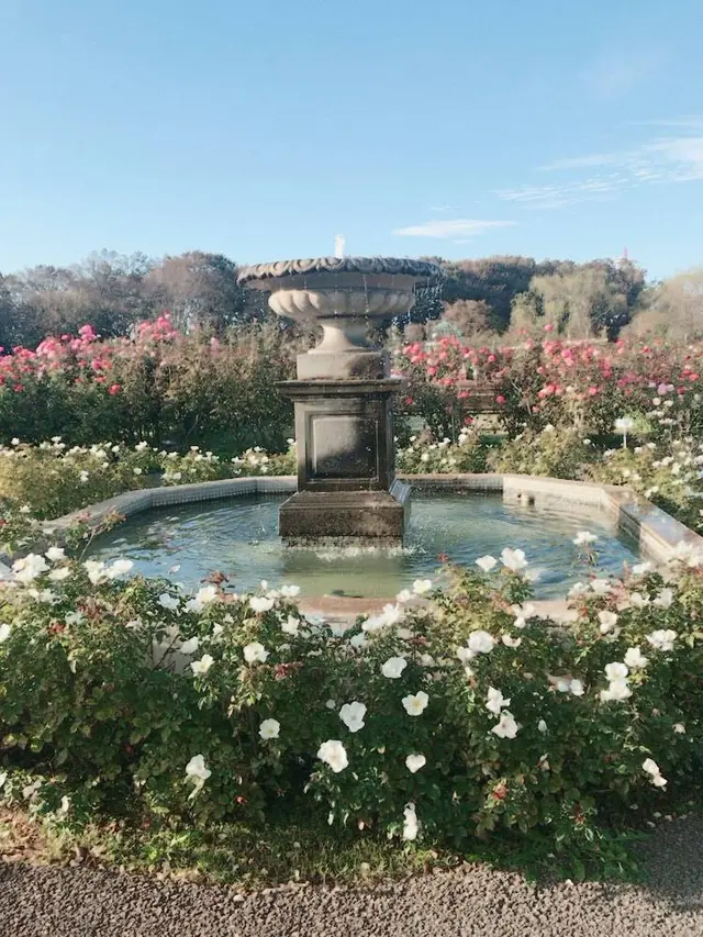 京成バラ園