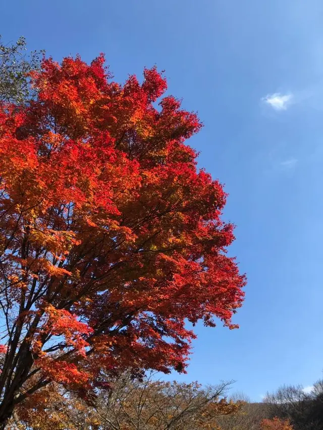 榛名湖