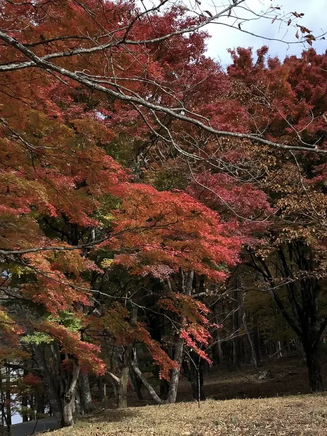 榛名湖